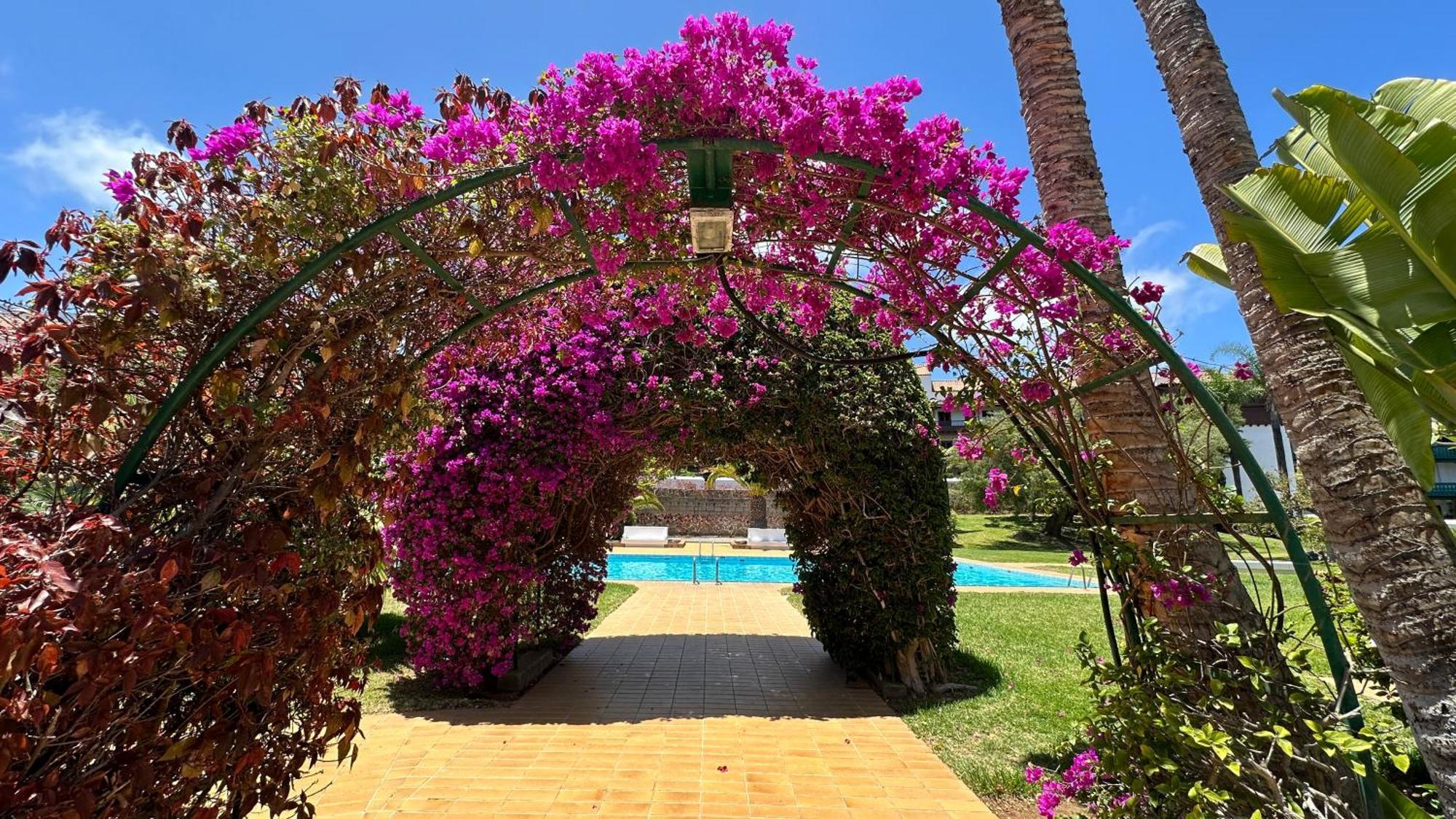 El Tajinaste III Apartman Puerto de la Cruz Kültér fotó